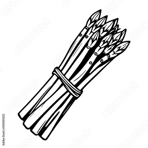 black outline vector of a bundle of asparagus spears tied together