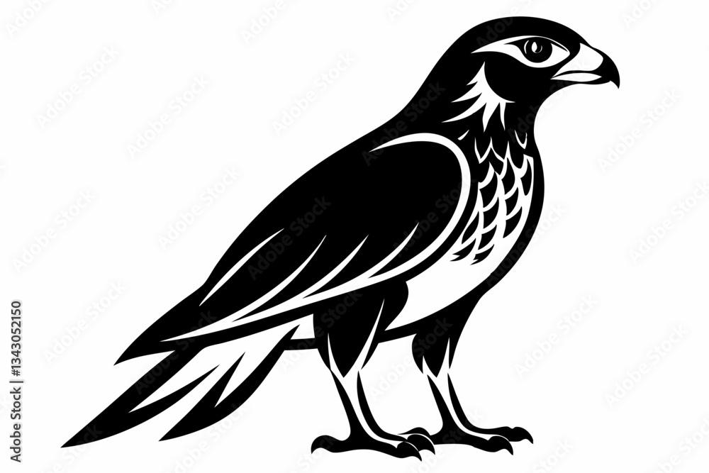 goshawk bird line art silhouette vector illustration
