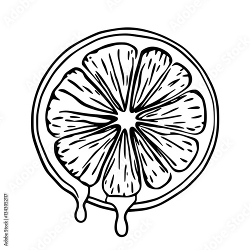 black outline vector of a fresh lemon slice with dripping juice