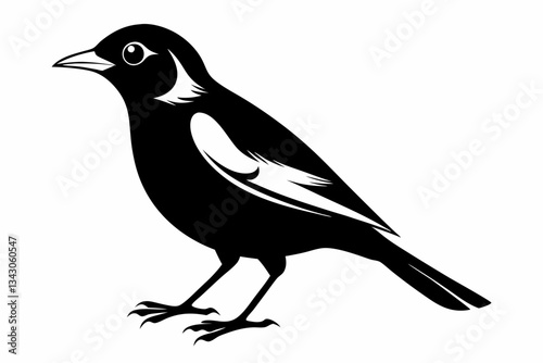 myna bird line art silhouette vector illustration