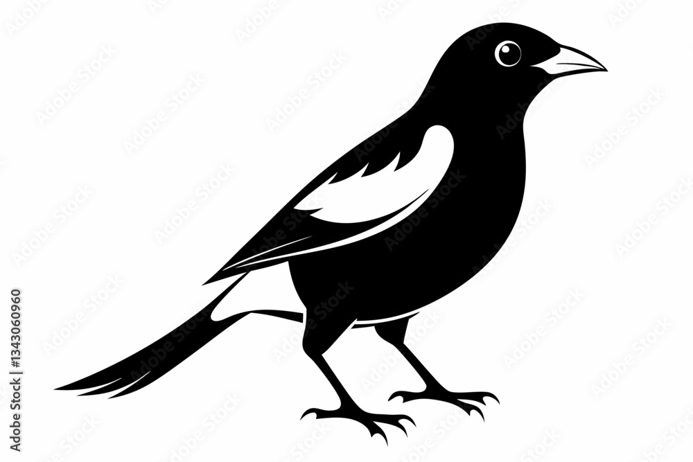 Fototapeta premium myna bird line art silhouette vector illustration