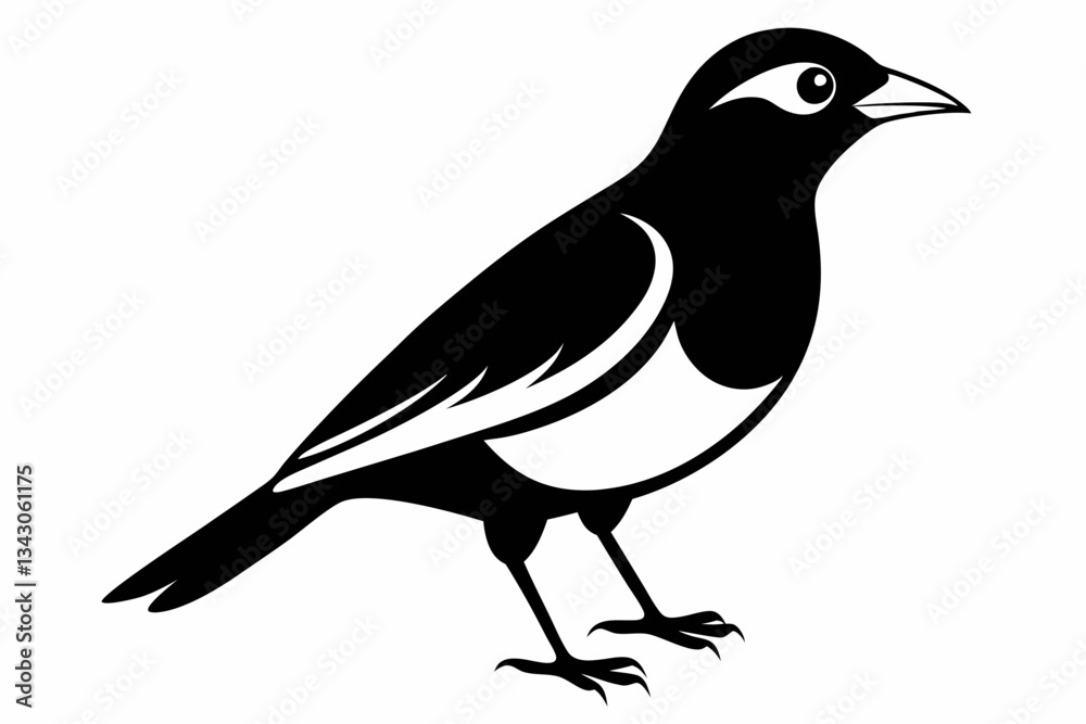 Obraz premium myna bird line art silhouette vector illustration