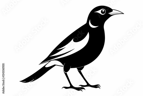 myna bird line art silhouette vector illustration