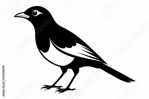 myna bird line art silhouette vector illustration