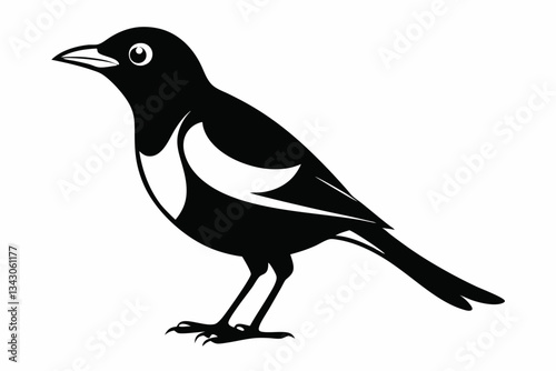 myna bird line art silhouette vector illustration