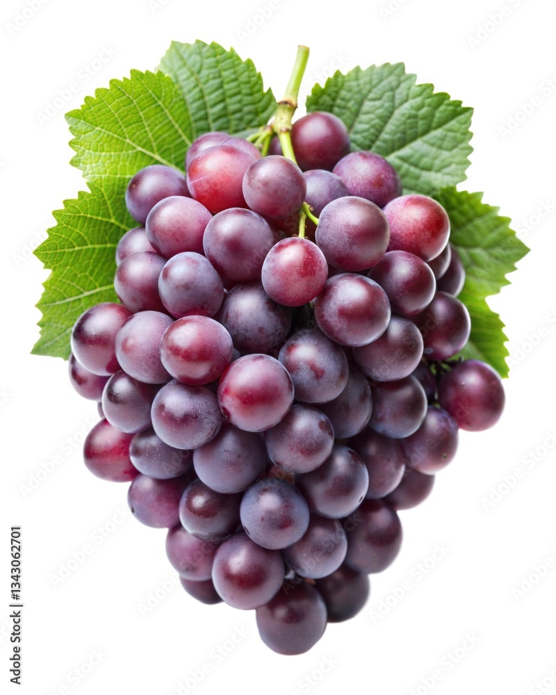 Fototapeta premium Juicy red grapes hanging from a vine, showcasing their rich color and luscious texture.