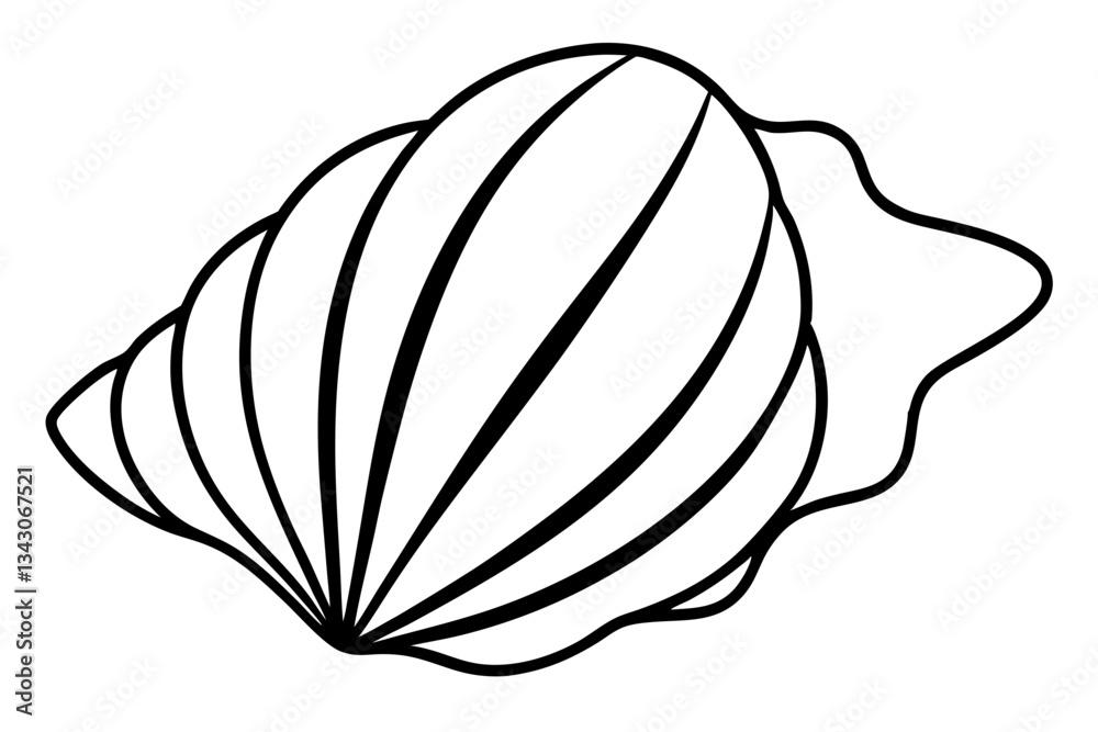 Fototapeta premium seashell line art silhouette vector illustration