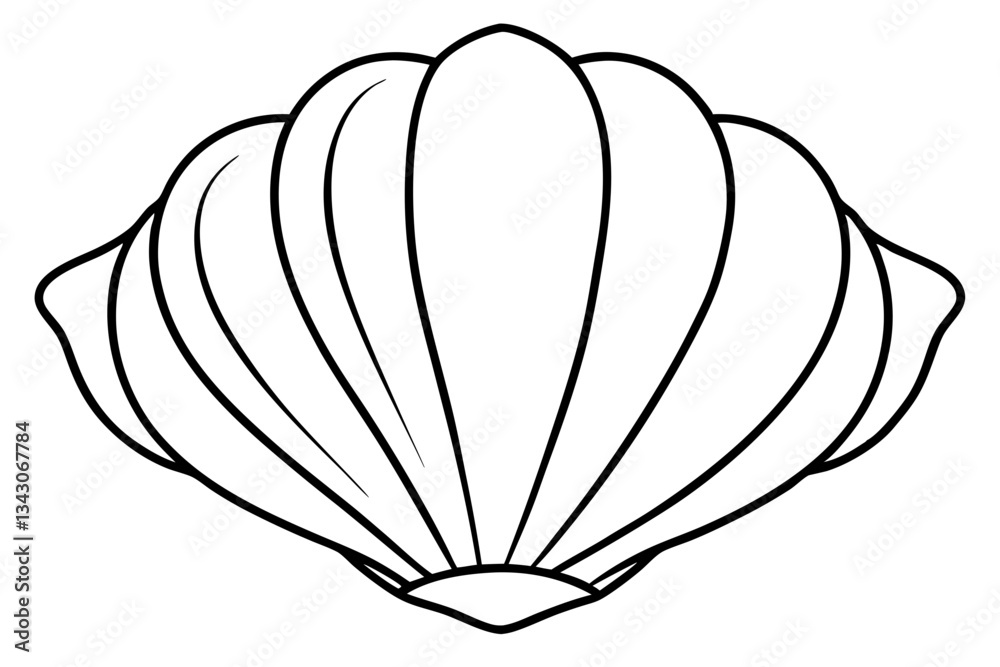 seashell line art silhouette vector illustration seashell line art silhouette vector illustration