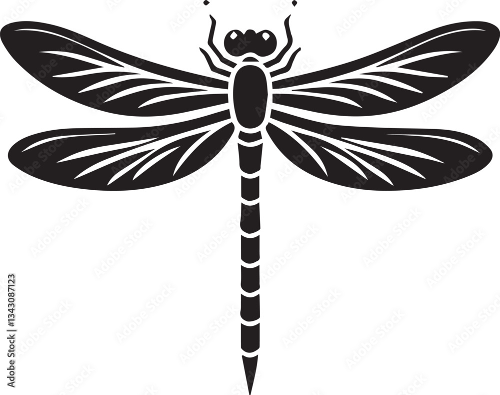 Fototapeta premium White background black silhouette of a dragonfly