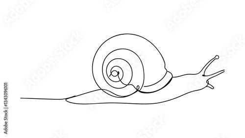 SingleLine Snail Drawing Mollusk, Shell, Nature, Art, Line, Minimalist, Illustration, Creature, Craw