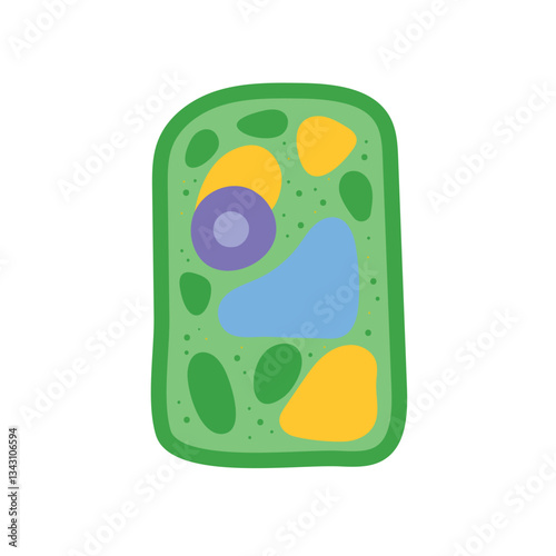 Plant cell anatomy structure