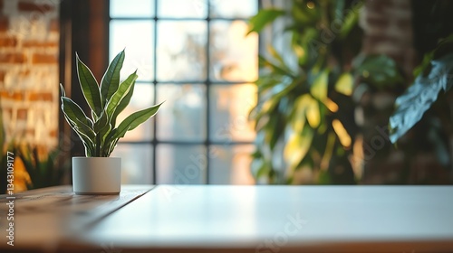 Modern Workspace Interior with Natural Light and Indoor Plant Decor Accent