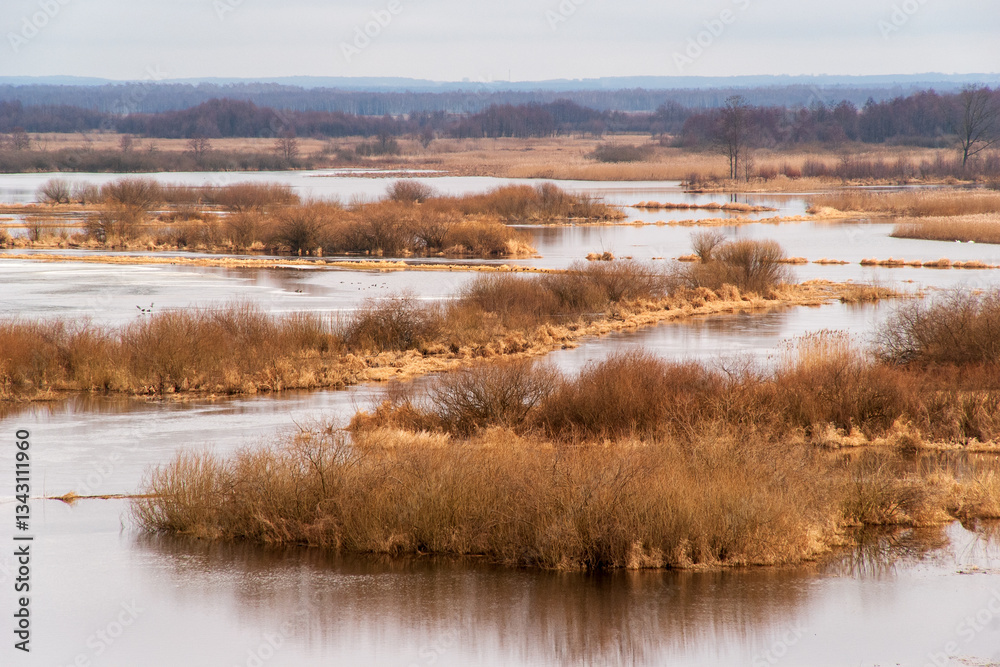 Wiosenne rozlewiska rzeki Biebrzy, Podlasie, Polska