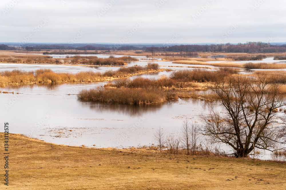 Wiosenne rozlewiska rzeki Biebrzy, Podlasie, Polska