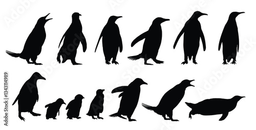Set of silhouettes of wild penguins.
