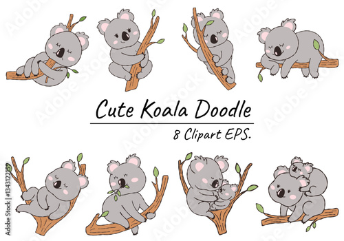 Collection of Cute Koala on Tree Branch Doodles Ouline.