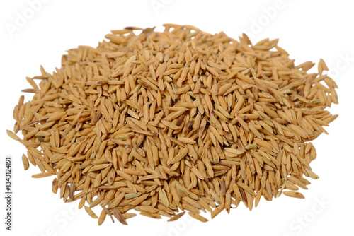 isolated transparent Background. pile of golden paddy rice grains, showcasing their natural texture and earthy tone