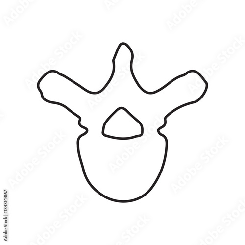 thoracic vertebra line icon