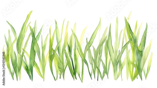 Watercolor painting depicting a field of vibrant green grass blades