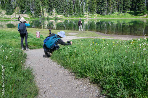 Obraz na płótnie Tourists taking photos of wildflowers using smartphones. Shadow Lake. Mount Rainier National Park. Washington State. w salonie