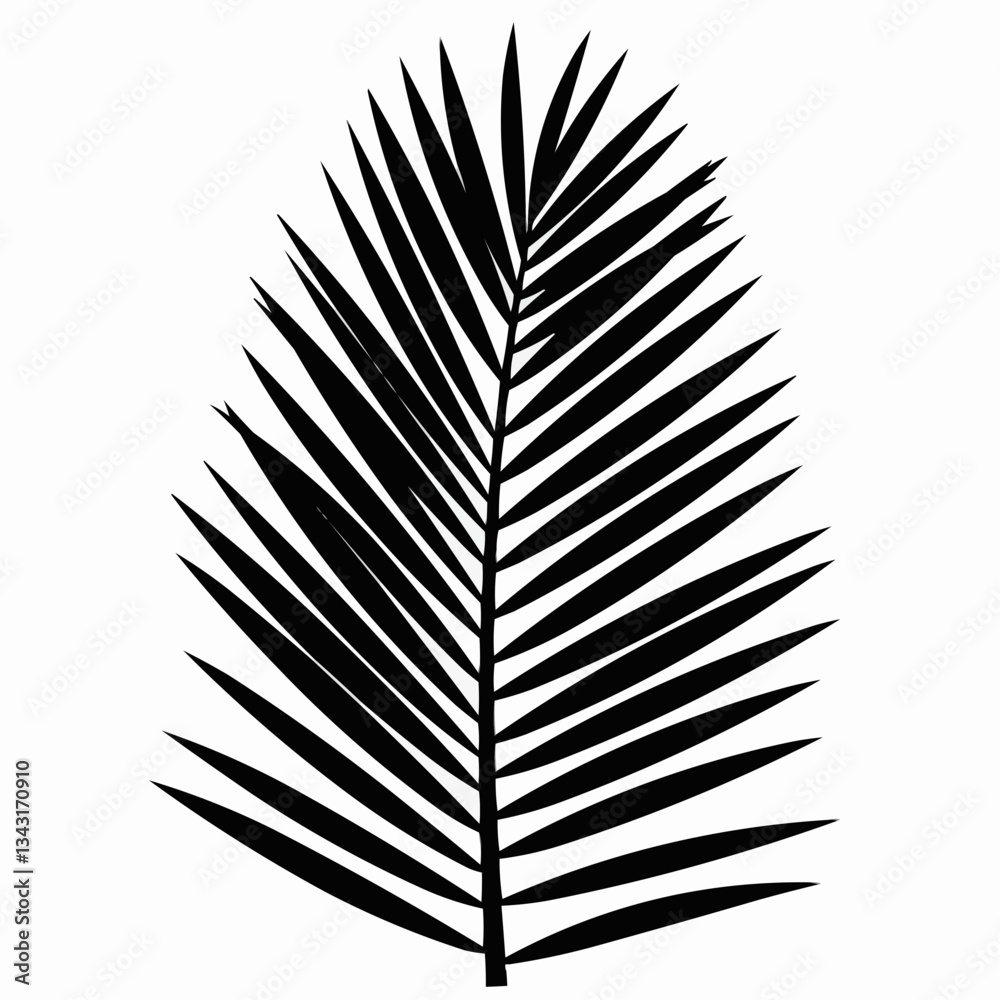 Black silhouette of a palm leaf against a white background Black silhouette of a palm leaf against a white background