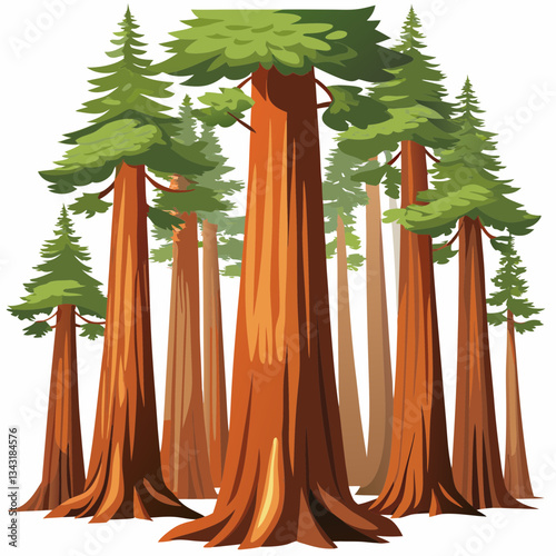 tall redwood forest with massive tree trunks