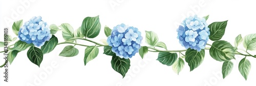 Delicate light blue hydrangea blossoms and green leaves elegantly arranged along a vine, creating a charming floral border