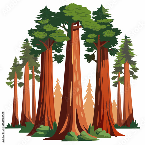tall redwood forest with massive tree trunks