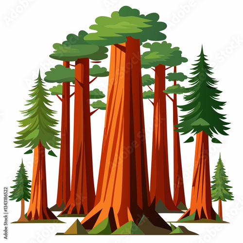 tall redwood forest with massive tree trunks