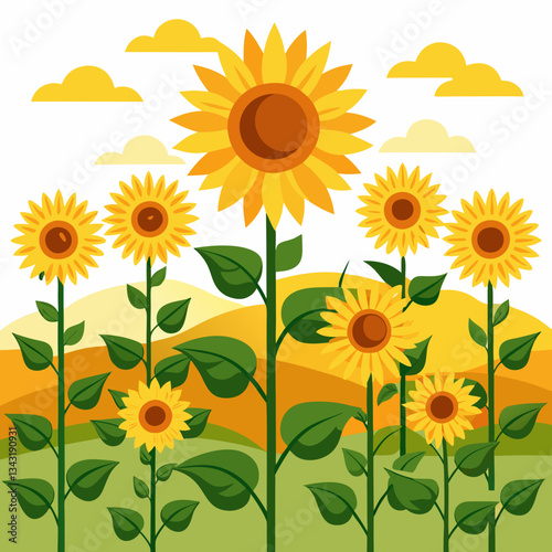 vast sunflower field facing the sun 