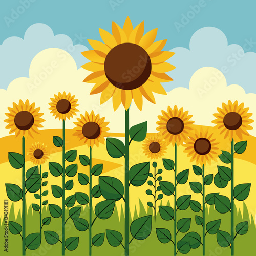 vast sunflower field facing the sun 