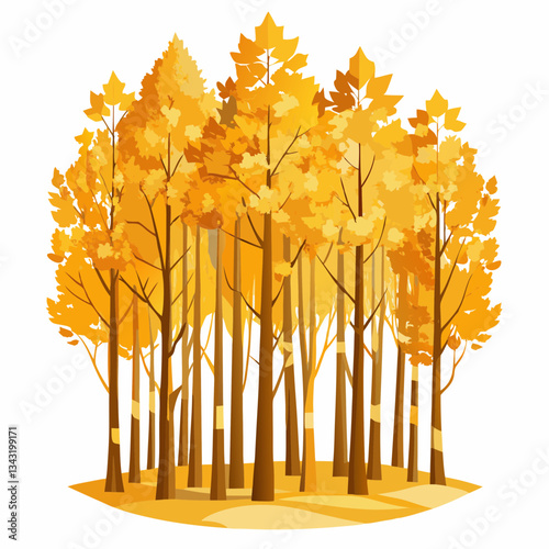 golden aspen grove with quivering leaves