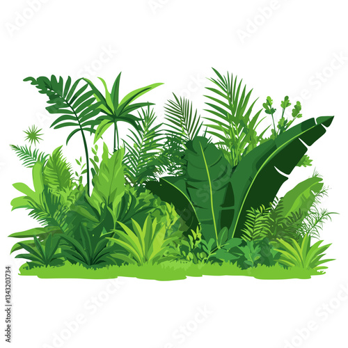 Jungle vegetation jungle nature plants vector