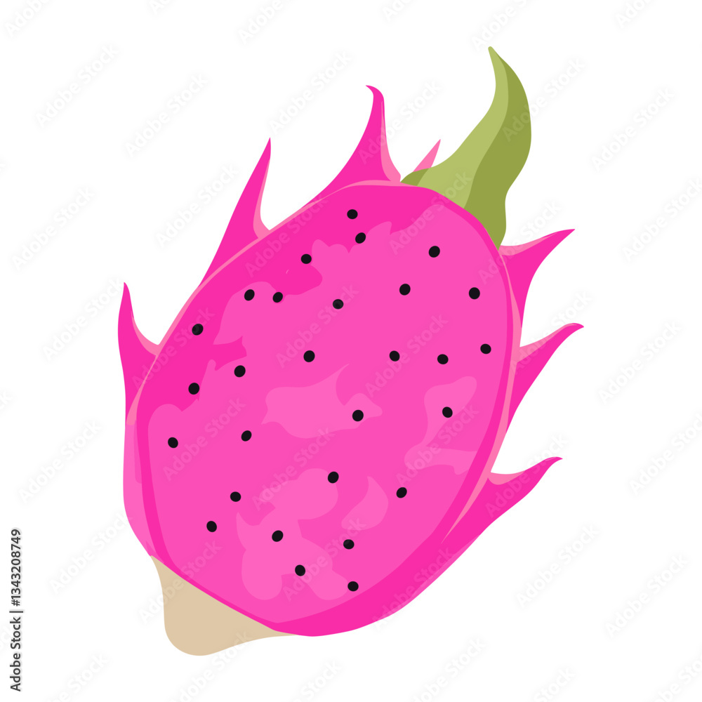 Dragon fruit illustration tropical produce vector Dragon fruit illustration tropical produce vector