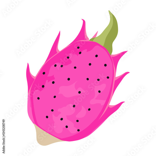Dragon fruit illustration tropical produce vector