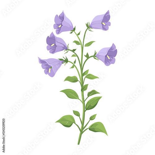 A Bellflower wildflower clip art illustration bellflower design vector