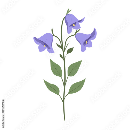 A Bellflower wildflower clip art illustration bellflower design vector