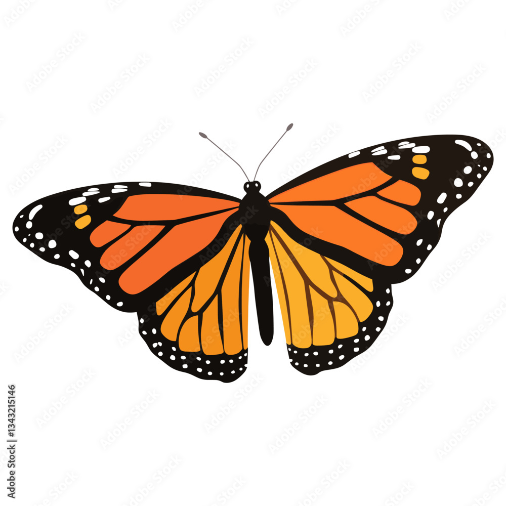 Naklejka premium Monarch butterfly monarch illustration insect vector