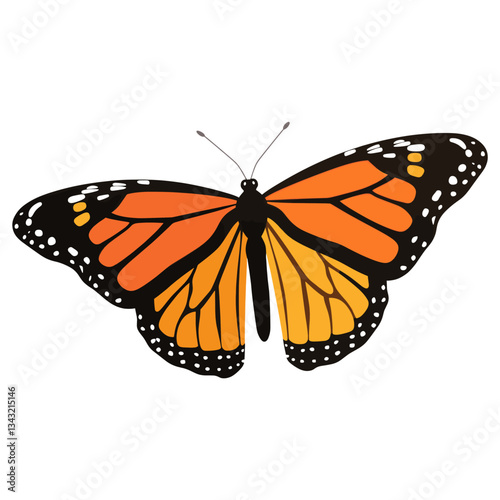 Monarch butterfly monarch illustration insect vector