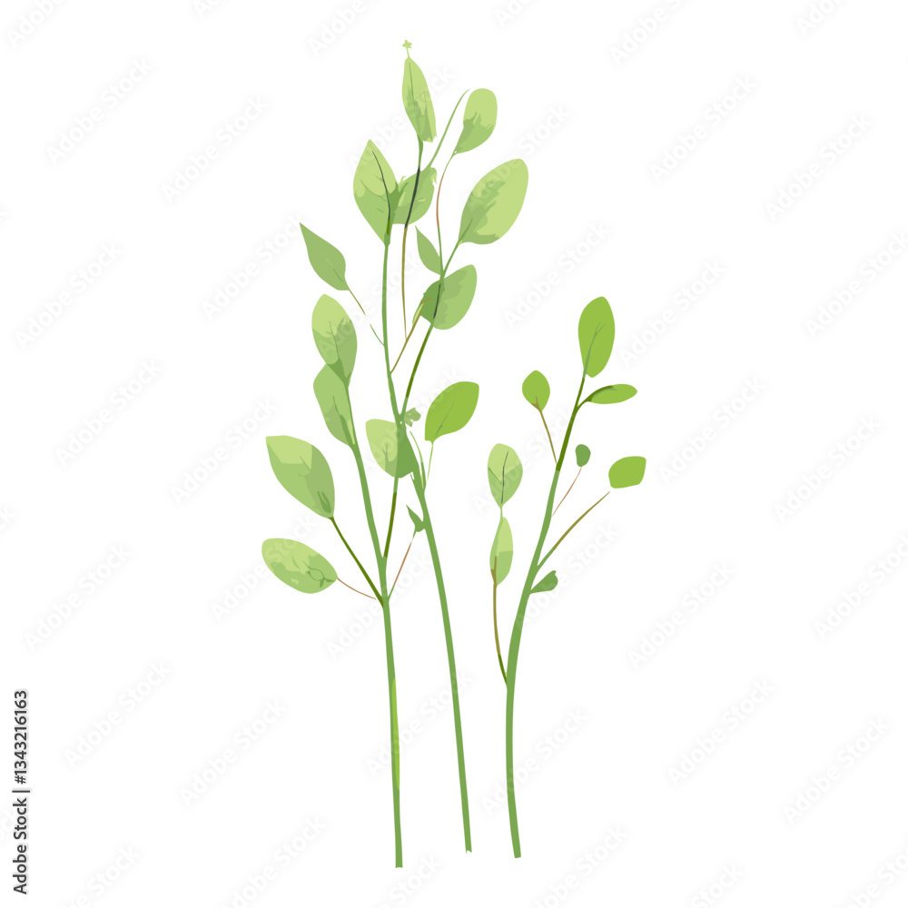 Fototapeta premium Flat vector of wild grass leaves leaf illustration vector