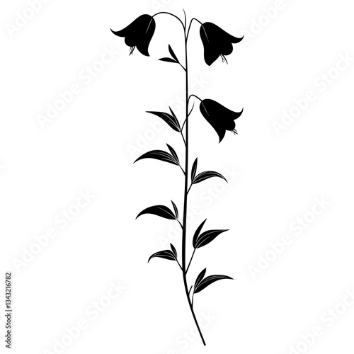 Wild flower Tall Bellflower illustration silhouette minimalist vector