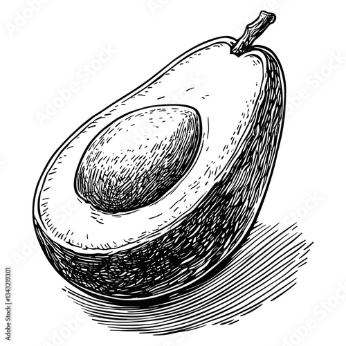 Avocado avocado art drawing vector