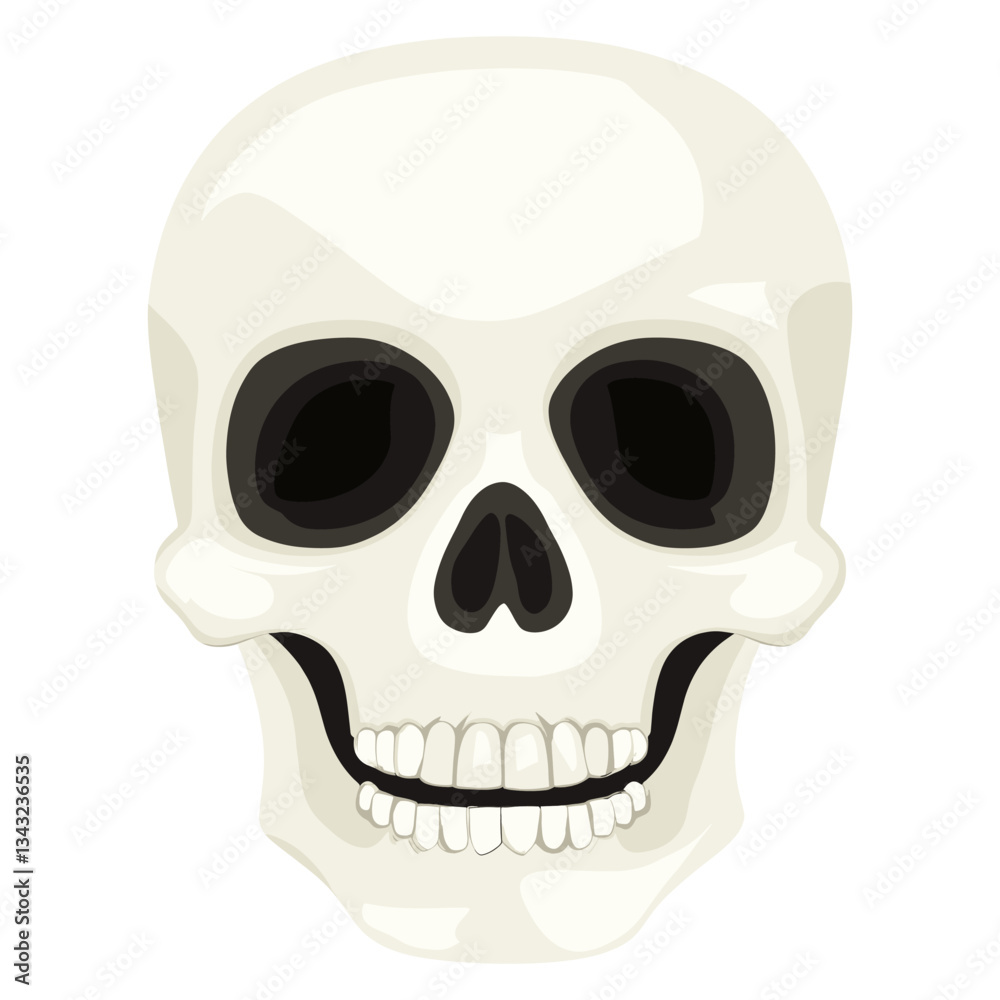 Skull illustration white art vector Skull illustration white art vector