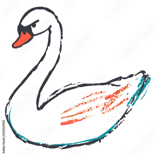 Swan illustration waterfowl drawing vector