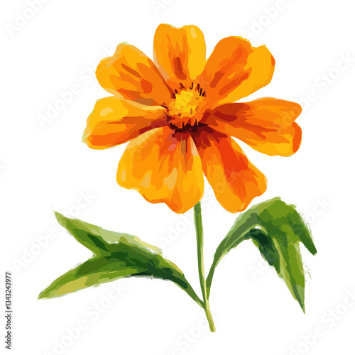 Marigold flower icon illustration petal art vector