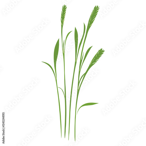 Wallpaper Mural Flat vector of green grass illustration herbal plant vector Torontodigital.ca