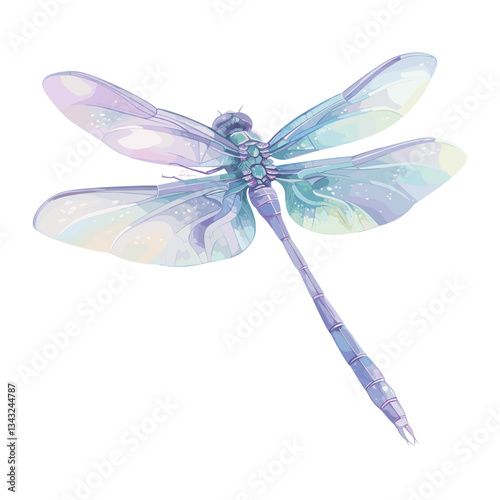 Dragonfly dragonfly illustration watercolor vector
