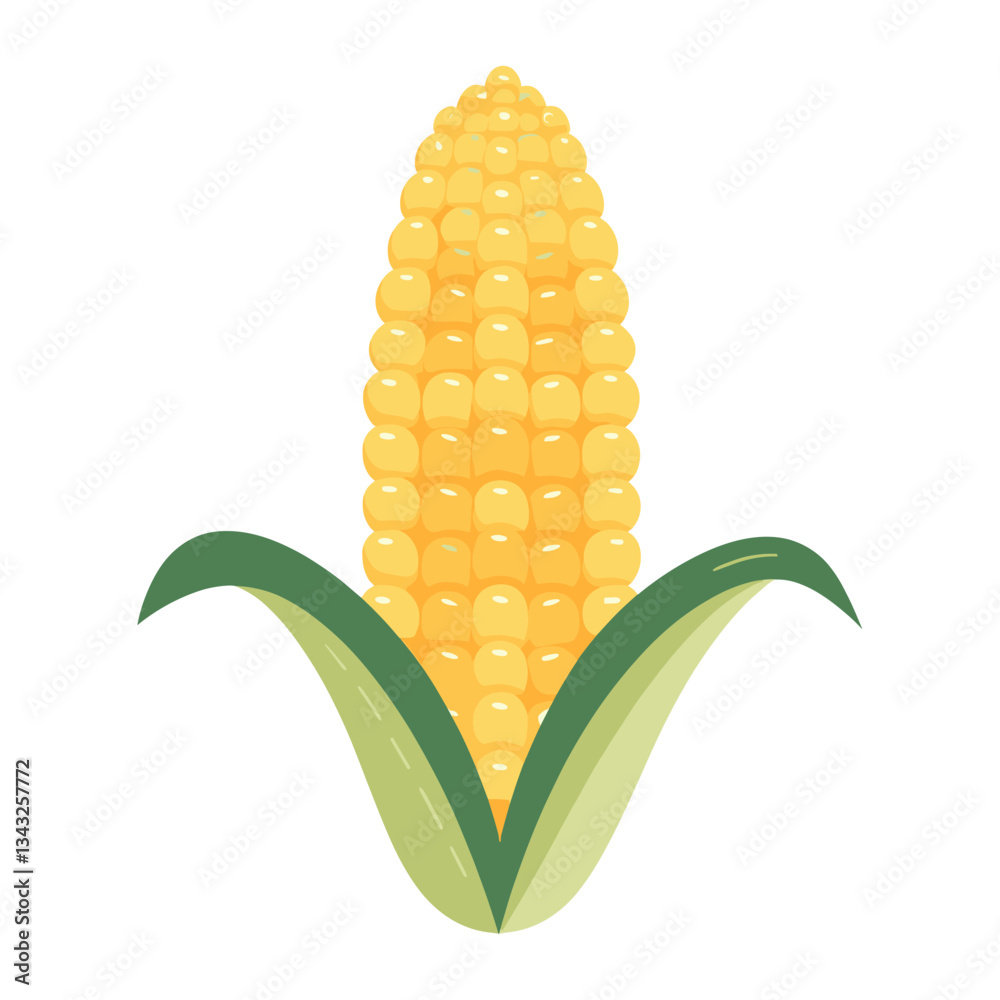 Fototapeta premium One corn vector illustration plant food vector