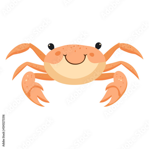 Crab illustration animal invertebrate vector