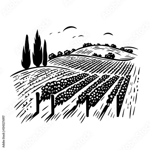 Vineyard illustration countryside vineyard vector